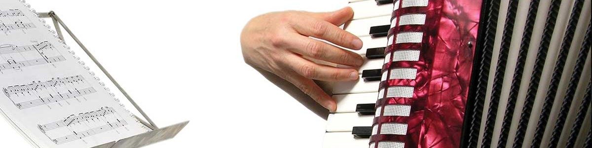 fisarmonica musicopoli